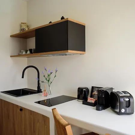 Ryolithos Apartahotel Foinikiá