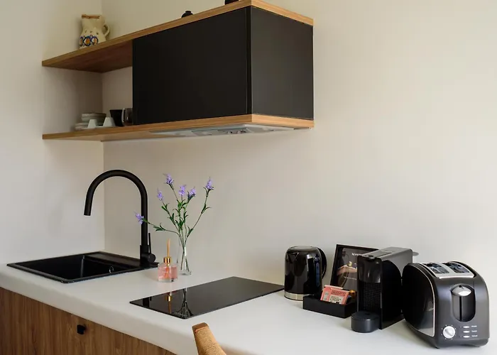 Ryolithos 公寓式酒店 Foinikiá